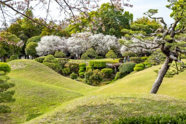 Japonya, Kumamoto 'daki Suizenji Jojuen Parkı. Japon samuray klanının lideri Hosokawa Tadatoshi' nin anısına.