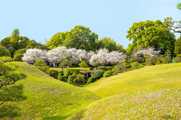 位于日本熊本的Suizenji Jojuen公园 以纪念日本武士部族首领田户和泽 — 图库照片