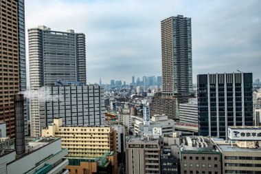Tokyo, Japonya - 16 Mart 2023: Gökdelen ile Tokyo 'nun ufuk çizgisine bakın.