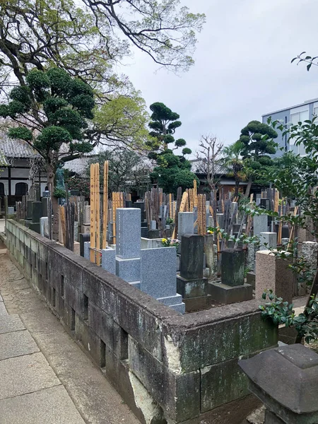 Τόκιο Ιαπωνία Μαρτίου 2023 Παλιό Τυπικό Ιαπωνικό Νεκροταφείο Γιαπωνέζικα Ιερά — Φωτογραφία Αρχείου
