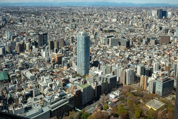 2023年3月19日 スカイライン展望台から東京のスカイラインを望む — ストック写真
