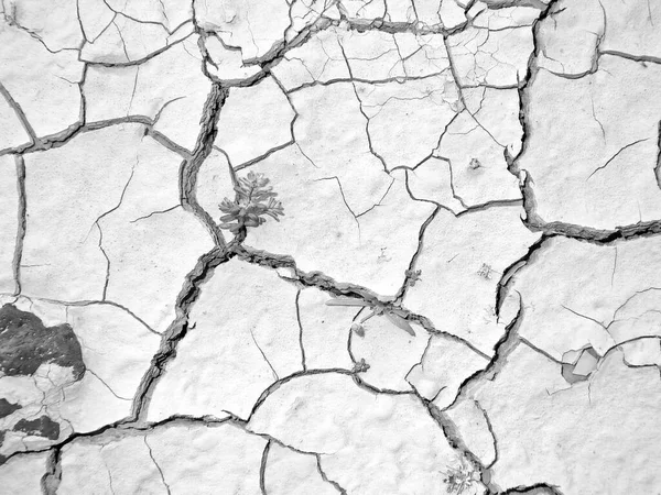 Rachado Loam Pelo Calor Deserto — Fotografia de Stock