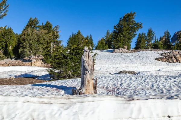 Abd Nin Ulusal Parkında Lassen Dağı Nda Kar Yağarken Yaşlı — Stok fotoğraf