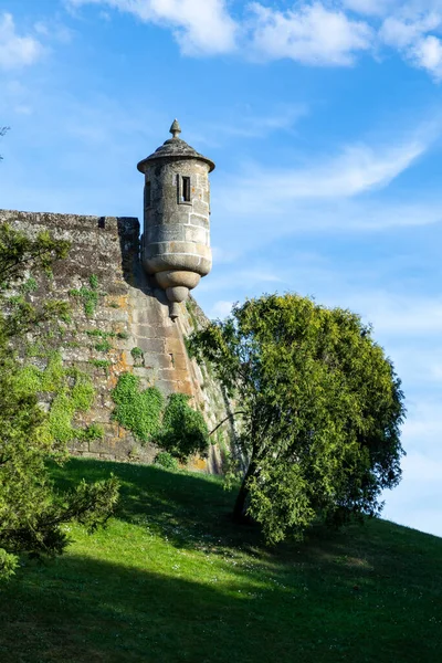 Trzymać Wieżę Ruiny Zamku Średniowieczną Konstrukcję Został Zbudowany Przez Dom — Zdjęcie stockowe