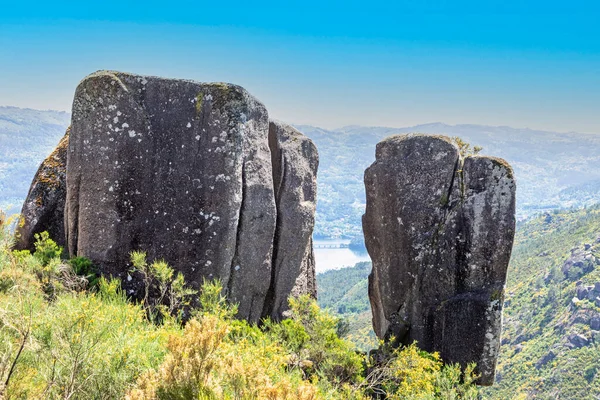 Formación Piedra Florecimiento Flores Montaña Nationalpark Peneda Geres Braga Portugal — Foto de Stock