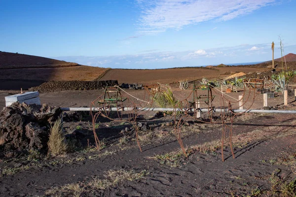 Bejárata Ingatlan Szobrok Tevék Készült Vas Rúd Vulkanikus Területen Lanzarote — Stock Fotó