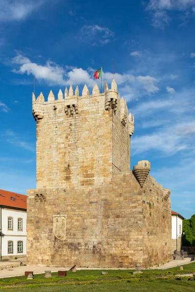 Houd Toren Kasteelruïne Middeleeuwse Structuur Het Werd Gebouwd Door Dom — Stockfoto