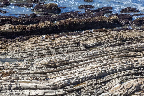 Sahildeki Taşların Deseni Farklı Katmanlarda Kaliforniya — Stok fotoğraf