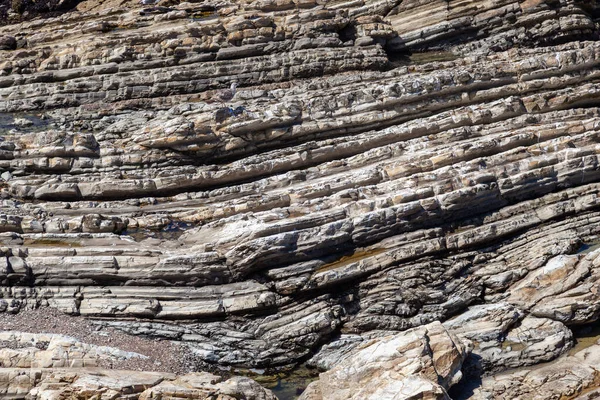 Padrão Pedras Costa Diferentes Camadas Califórnia — Fotografia de Stock