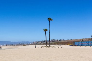 Redondo Beach, ABD - 24 Haziran 2012: Redondo plajında iki palmiye ağacı olan güzel plaj, Los Angeles, ABD