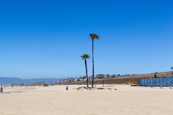 2012 레돈도 해변의 아름다운 로스앤젤레스에 야자나무 그루와 — 스톡 사진