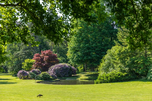 Impressão Verão Cênica Árvores Florescendo Parque Nero Wiesbaden Alemanha — Fotografia de Stock