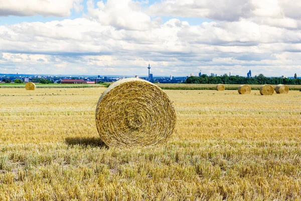 Bale Straw Fields Blue Sky Autumn — Stock Photo, Image