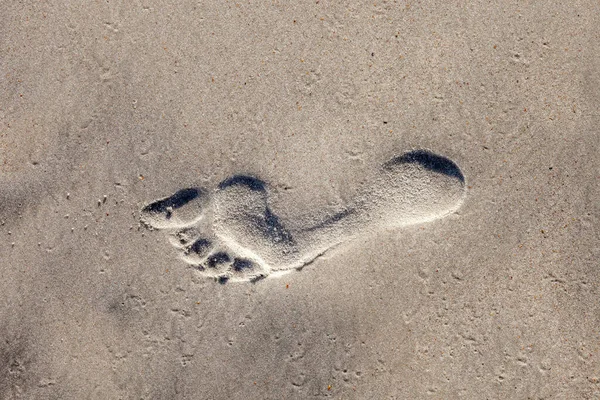 Ίχνη Στην Παραλία Ψιλή Άμμο — Φωτογραφία Αρχείου