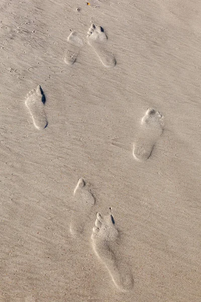 Ince Kumlu Plajda Ayak Izleri — Stok fotoğraf
