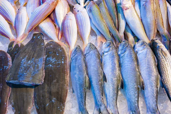 Целые Свежие Рыбы Предлагаются Рыбном Рынке Азии — стоковое фото