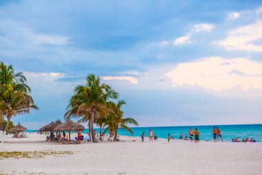 Miami, ABD - 30 Temmuz 2010: İnsanlar Miami, ABD 'de palmiye ağacıyla sahili gezerken eğleniyor