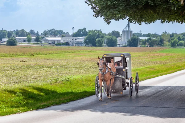 兰开斯特 2010 阿米什人骑在他们马车在兰开斯特 阿米什人不使用电力 以及汽车 他们生活在 世纪的传统方式 — 图库照片