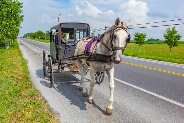 Lancaster Usa Luglio 2010 Carro Trainato Cavalli Amish Strada Lancaster — Foto Stock