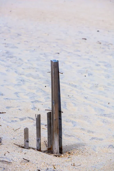 Kumsalda Kum Tepecikleri Doğayı Kurtarmak Için — Stok fotoğraf