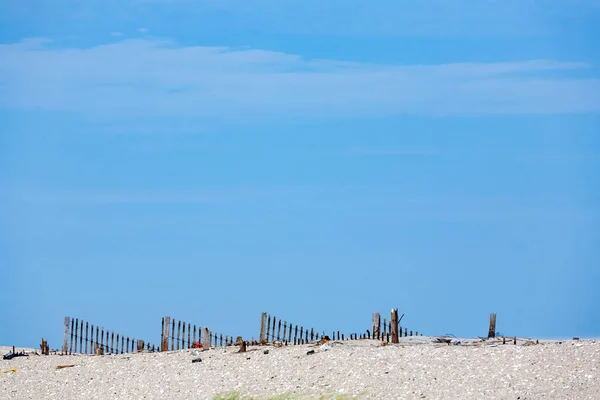 Ogrodzenia Dla Ochrony Wydmy Przy Plaży Naturalne Uszkodzone Przez Wiatr — Zdjęcie stockowe