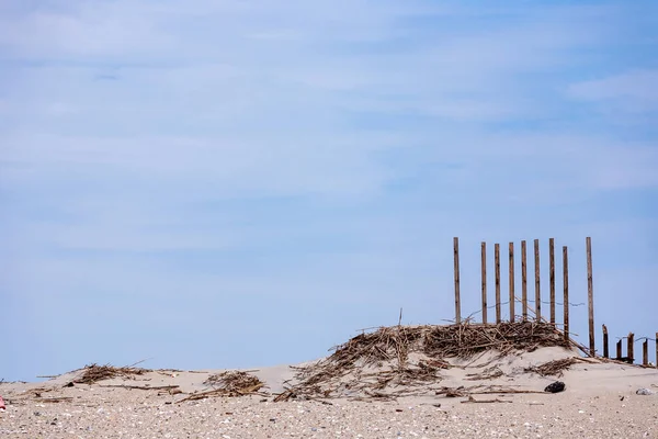 Staket För Skydd Sanddynerna Den Vackra Naturliga Stranden Skadas Vind — Stockfoto
