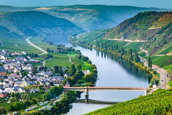 Διάσημη Βρόχο Ποταμού Moselle Στο Trittenheim Γερμανία — Φωτογραφία Αρχείου