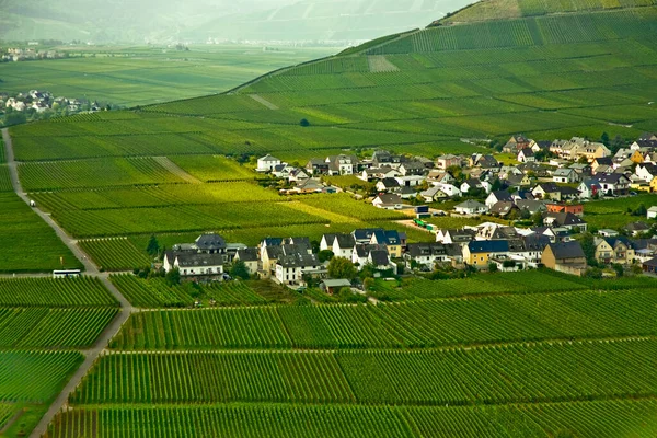 Trittenheim 在河文义葡萄园的村庄 — 图库照片