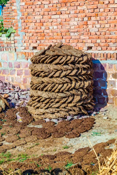 在印度 干牛粪被用作焚烧和取暖的材料 — 图库照片