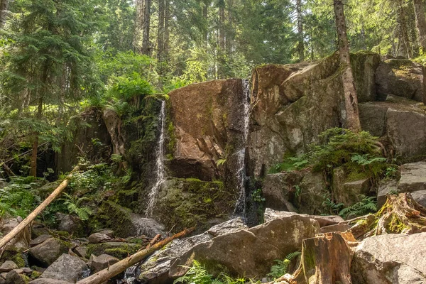 Vacker Skog Vosges Regionen Frankrike Väg Till Hoheneck Berget Den — Stockfoto