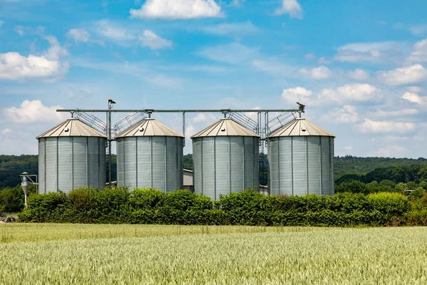 Four Silos Rural Area Field Spring Time Green Field Foreground — Stock Photo, Image