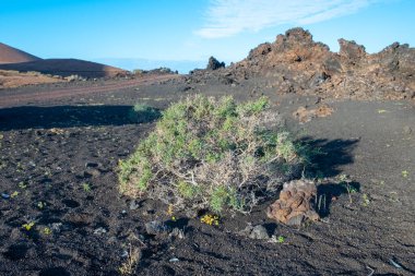 İspanya, Lanzarote 'deki Janubio' da manzaralı tuz madenleri