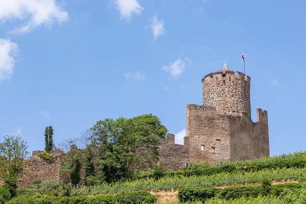 Castelo Histórico Kaysersberg Nas Vinhas Região Vosges França — Fotografia de Stock