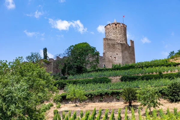 Castelo Histórico Kaysersberg Nas Vinhas Região Vosges França — Fotografia de Stock