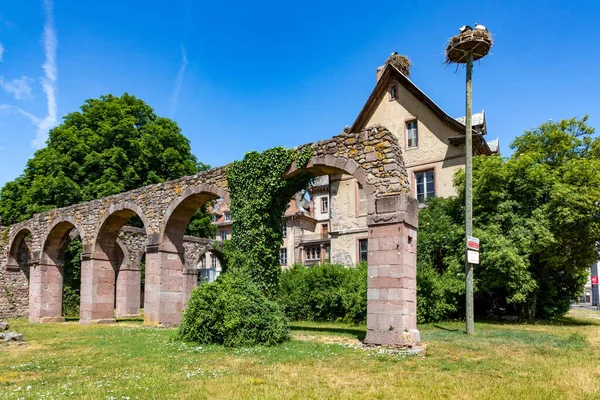 Ruinas Del Claustro Abadía Munster Francia — Foto de Stock