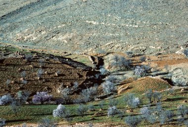 Fas 'ın Atlas Dağı bölgesinde, gün batımında kırsal alan