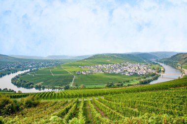 Almanya, Trittenheim 'da Mosel Nehri kıvrımı