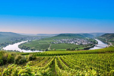 Trittenheim, Almanya 'daki ünlü Mosel nehir döngüsü