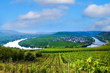 Trittenheim, Almanya 'daki ünlü Moselle Sinuosity