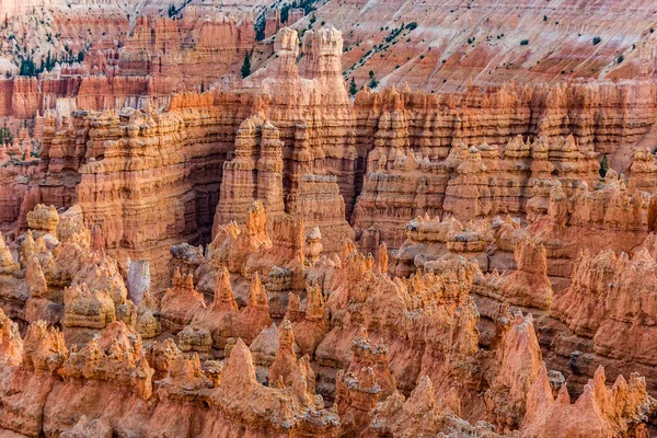 Hermoso Paisaje Bryce Canyon Con Magnífica Formación Piedra Como Anfiteatro —  Fotos de Stock