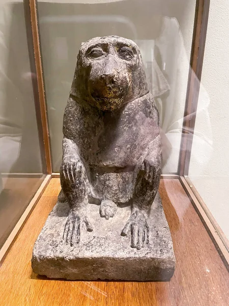 Cairo Egypt July 2023 Pharaos Monkey National Museum Egyptian Civilization — Stock Photo, Image