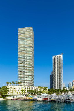 Gündüz mavi gökyüzü ile doğal miami manzarası