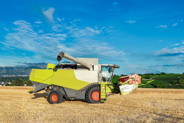 Grain Harvesting Combine Summer Corn Field Blue Sky — Stock Photo, Image