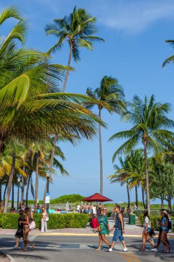 Miami, ABD - 23 Ağustos 2014: Güney sahilindeki insanlar öğleden sonra geç saatlerde okyanus gezintisine çıkarlar..