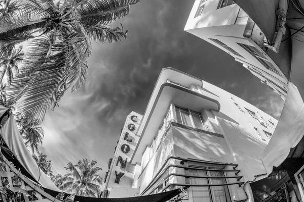 Miami Usa August 2014 Colony Hotel Located 736 Ocean Drive — Stock Photo, Image