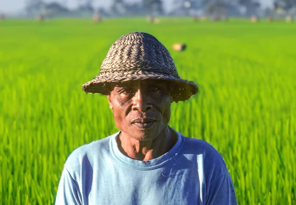 Ubud Indonesia Giugno 2003 Agricoltore Bali Posa Ritratto Nella Sua — Foto Stock