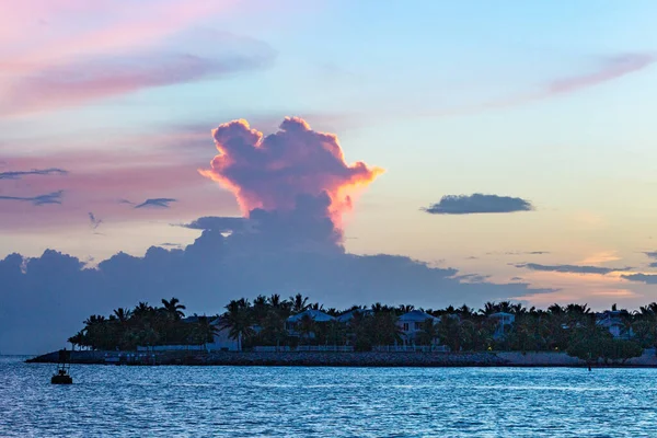 Solnedgång Vid Key West Florida Mallory Square — Stockfoto