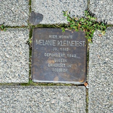 Wiesbaden, Almanya - 10 Ağustos 2023: Stolperstein (Tökezleyen Blok) Wiesbaden anıtlarında Nazi zulmünün kurbanlarına kaldırımlar üzerinde.