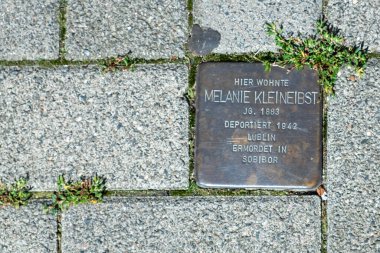 Wiesbaden, Almanya - 10 Ağustos 2023: Stolperstein (Tökezleyen Blok) Wiesbaden anıtlarında Nazi zulmünün kurbanlarına kaldırımlar üzerinde.