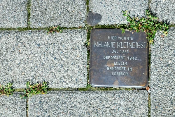 Wiesbaden Niemcy Sierpnia 2023 Pomniki Stolpersteina Wiesbaden Chodnikach Ofiar Nazistowskiego — Zdjęcie stockowe